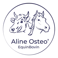 aline-osteo